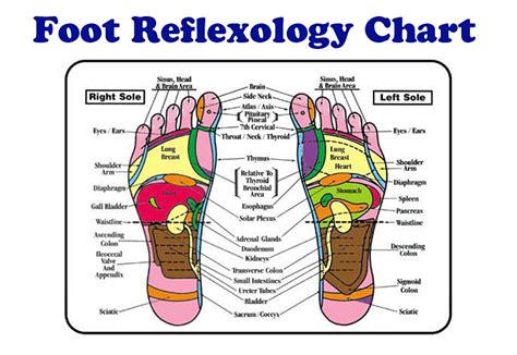 Reflexology Gold Coast Where To Find The Best Foot Therapy