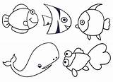 Animals Coloring Sea Ocean Pages Animal Drawing Easy Kids Draw Creatures Creature Printable Eel Preschool Moray Drawings Bull Colouring Color sketch template