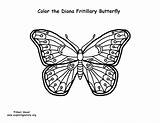 Coloring Diana Name Fritillary Template Pages sketch template
