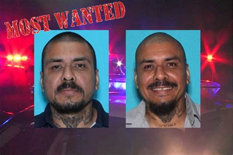 reward offered for most wanted sex offender with ties to