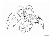 Coconut Tamatoa Crab Giant Coloring Pages Color Online Printable Print Coloringpagesonly sketch template