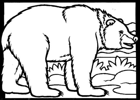 black bear coloring page clipart   bear coloring pages bear