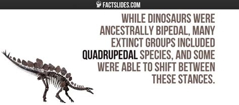 facts  dinosaurs factslides dinosaur facts facts dinosaur