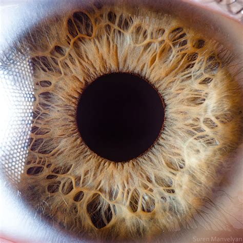 extremely detailed closeups   human eye page  sick chirpse