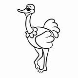 Ostrich Cute Outlined sketch template