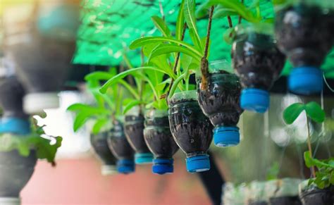 ideas creativas  reciclar botellas de plastico  decorar la casa