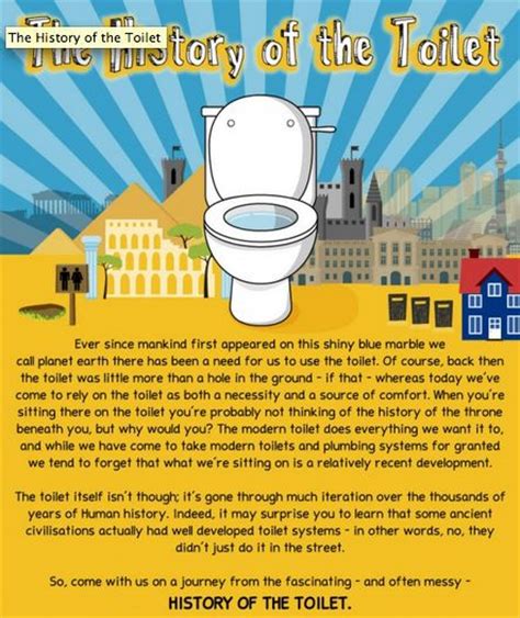 toilet history infographics toilet history infographic