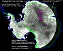 Afbeeldingsresultaten voor "coelographis Antarctica". Grootte: 127 x 104. Bron: www.nbcnews.com