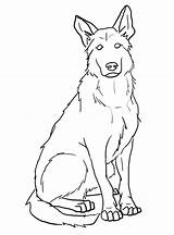 Coloring Malinois Sketch sketch template
