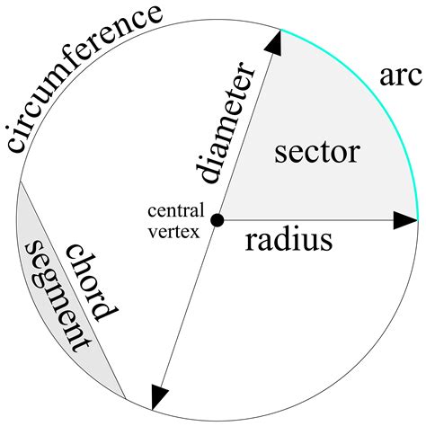 parts   circle  atxsapien parts   circle diagram  atopenclipart circle diagram