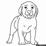 Labrador Coloring Puppy Lab Pages Dog Dogs Puppies Drawing Chocolate Thecolor Color Sheets Online Colouring Line Getdrawings Books Animal sketch template