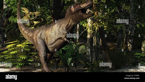 mighty tyrannosaurus rex hunts  prey   dense jungle stock photo