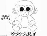 Coloring Beanie Pages Boo Coconut Printable Casanova Kids Cute Bettercoloring sketch template
