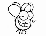 Mosquito Coloringcrew Fun Coloring sketch template