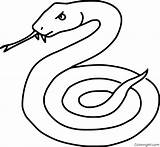 Viper Snake Venomous Automatically Coloringall sketch template