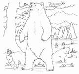 Yellowstone Colorat Urs Grizzly Planse Designlooter 4to40 Desene sketch template