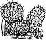 Cactus Coloring تلوين Kaktus Cactaceae Whitish صوره Clker الصبار Pixabay I2clipart Donasi Tanaman Alam 4vector Coloringme Clipground sketch template