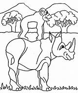 Coloring Pages Wild Animals Animal Safari Rhino African Monkey Popular Comments Kids Rhinoceros Coloringhome sketch template