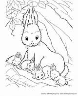 Coloring Rabbit Pages Farm Baby Animal Rabbits Animals Mommy Bunny Color Printable Sheet Her Honkingdonkey Cute Colouring Drawing Print Bunnies sketch template