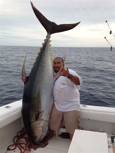 pv sportfishing yellowfin tuna fishing  puerto vallarta mexico