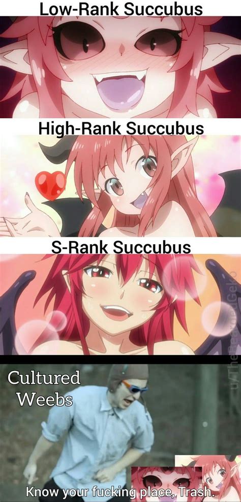 anime memes reddit