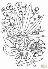 Coloring Pages Weed Trippy Marijuana Leaf Printable Adult Cannabis Adults Drawing Stoner Drawings Sheets Hemp Step Tattoo Print Pot Space sketch template