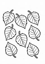 Coloring Leaf Pages Birch Printable Kids Worksheets Flowers Parentune sketch template