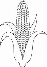 Corn Clip Ear Clipart Maize Template Line Outline Coloring Printable Pages Print Color Plant Sheet Drawing Preschool Cob Colorable Vegetable sketch template