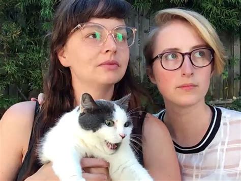 why lesbians are obsessed with cats