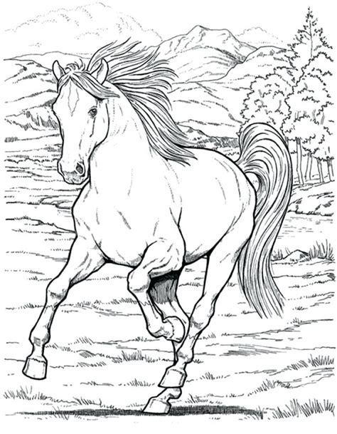 printable horse coloring pages  adults  getdrawings
