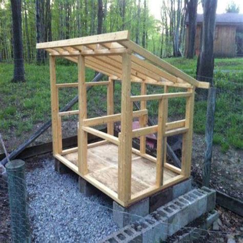 building  chicken coop homesteading  livestock