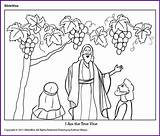 Vine True Kids Coloring Am Jesus Activities School Bible Craft Choose Board sketch template