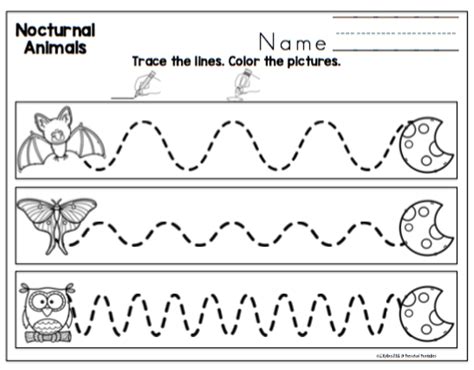 nocturnal animals printable preschool printables