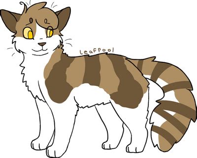 leafpool  recovery paws  deviantart