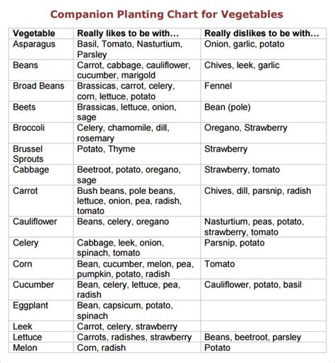 printable companion planting chart  vegetables