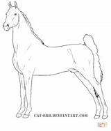 Coloring Horse Pages Saddlebred American Quarter Gypsy Drawing Vanner Getdrawings sketch template