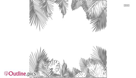 tropical palm leaves outline drawing images pictures