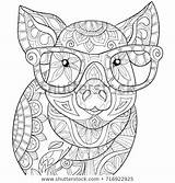 Mandalas Malvorlagen Rilassarsi Maiale Malbuch Ornamental Animales Adultos Imprimer Pigs Ausdrucken Vorlagen Illustrazione Stok Relaxing Adulto Impagina Sveglia Erwachsene Coloriages sketch template