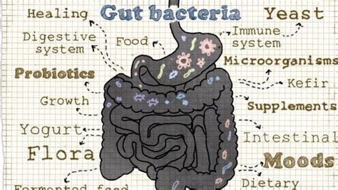 listen   gut   step formula  cleanse  digestion