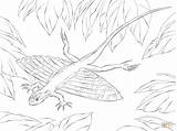 Coloring Pages Lizard Flying Dragons Xianglong Draco Printable Drawing Kids sketch template
