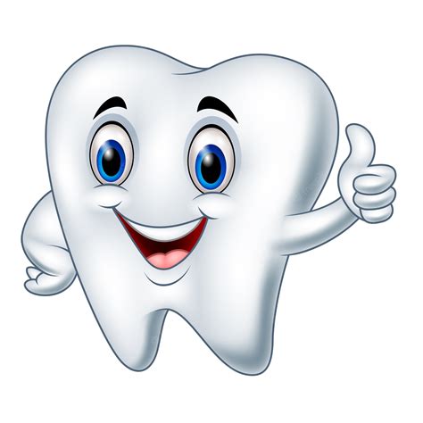 dentistry cartoon tooth dental floss cartoon tooth transparent clip