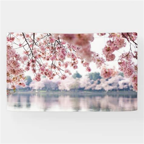 cherry blossoms banner zazzlecom blooming trees cherry blossom pink cherry blossom tree