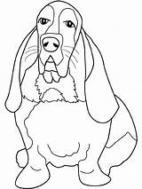 Basset Hound Chien Beagle Bassett Biegel Kleurplaat Honden Assis Gratuit Hunde Cani Malvorlage Kategorien sketch template