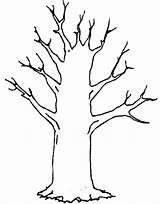 Tree Trunk Template Leaves Coloring Clipart Winter Without Pages Trees Drawing Clip Color Outline Colouring Silhouette Printable Kids Drawings Easy sketch template