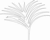 Coloring Palm Branch Pages Clip Craft Pattern Paper Jesus Jerusalem Kids Branches Enters Popular Activity Leaves Library Clipart Coloringhome Grass sketch template