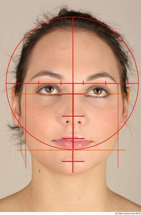 como dibujar  rostro proporciones buscar  google