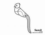 Quetzal Para Colorear Dibujo Dibujos Animal Bird Drawing Animales Del Coloringcrew Getdrawings Coloring sketch template