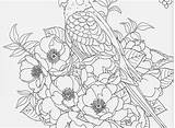 Coloring Harmony Pages Getcolorings Nature sketch template
