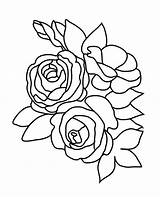 Coloring Rose Roses Flower Pages Sketch Three Color Drawing Leaves Pretty Bud Buttercup Leaf Drawings Print Kids Printable Pencil Getdrawings sketch template