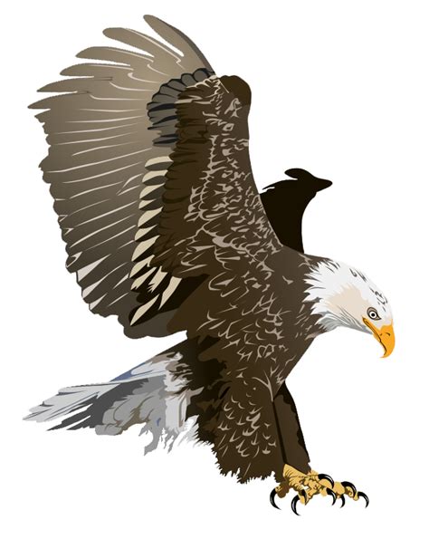 eagle cliparts   eagle cliparts png images  cliparts  clipart library